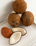 Coco the coconut nagleikfang - Hrafnagull
